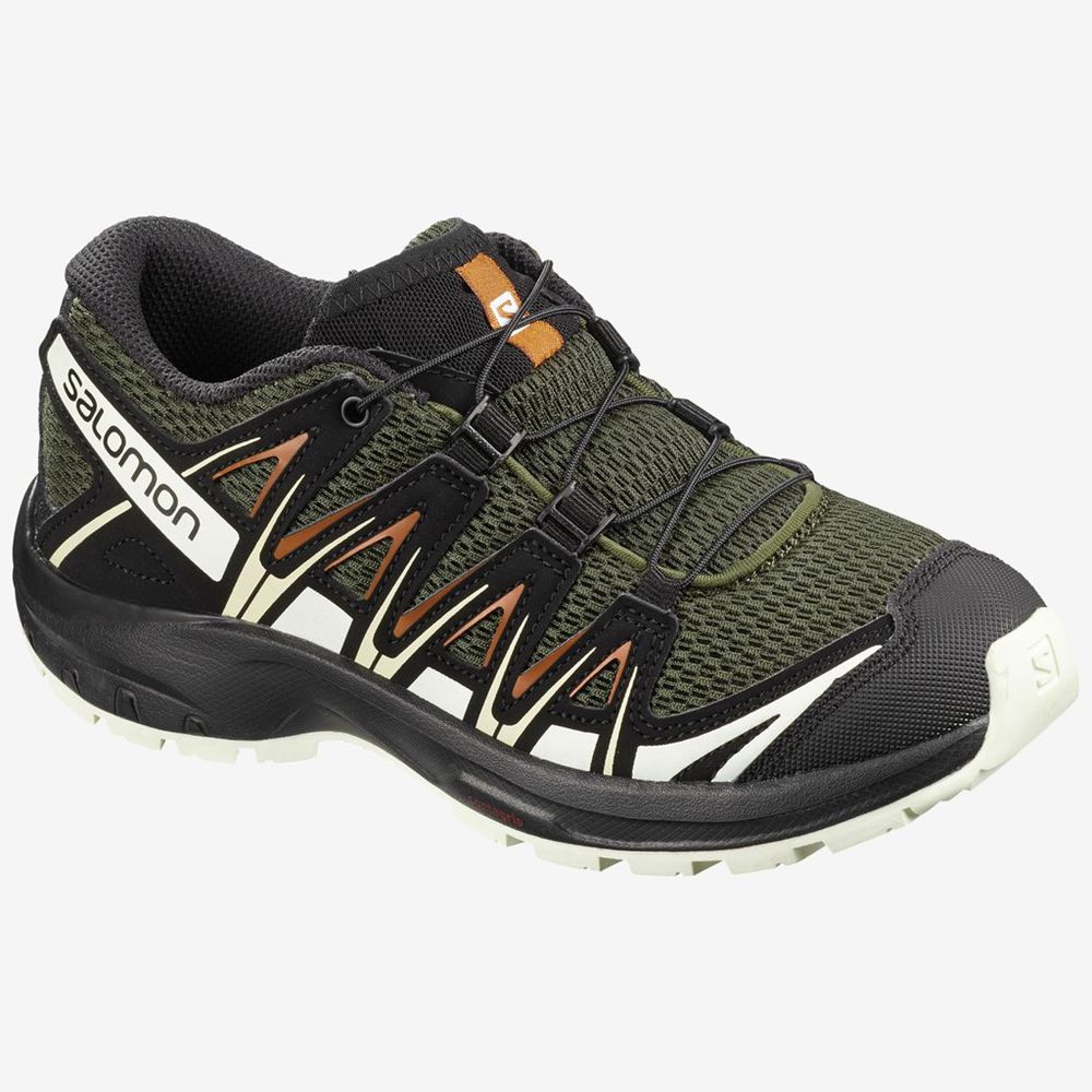 Salomon Singapore Kids Hiking Shoes - XA PRO 3D JUNIOR Multicolor | 87645-ZSAC